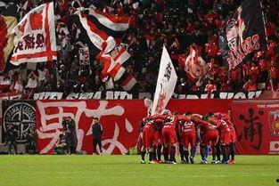 仙台七夕爆料最新消息  第1张