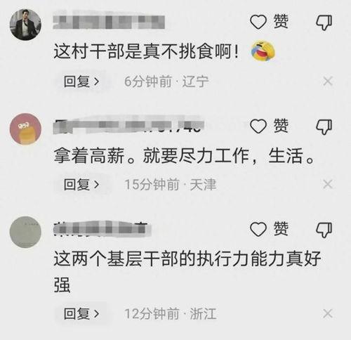 村支书真实爆料视频最新,农村现状与挑战深度剖析 第3张 村支书真实爆料视频最新,农村现状与挑战深度剖析 第3张